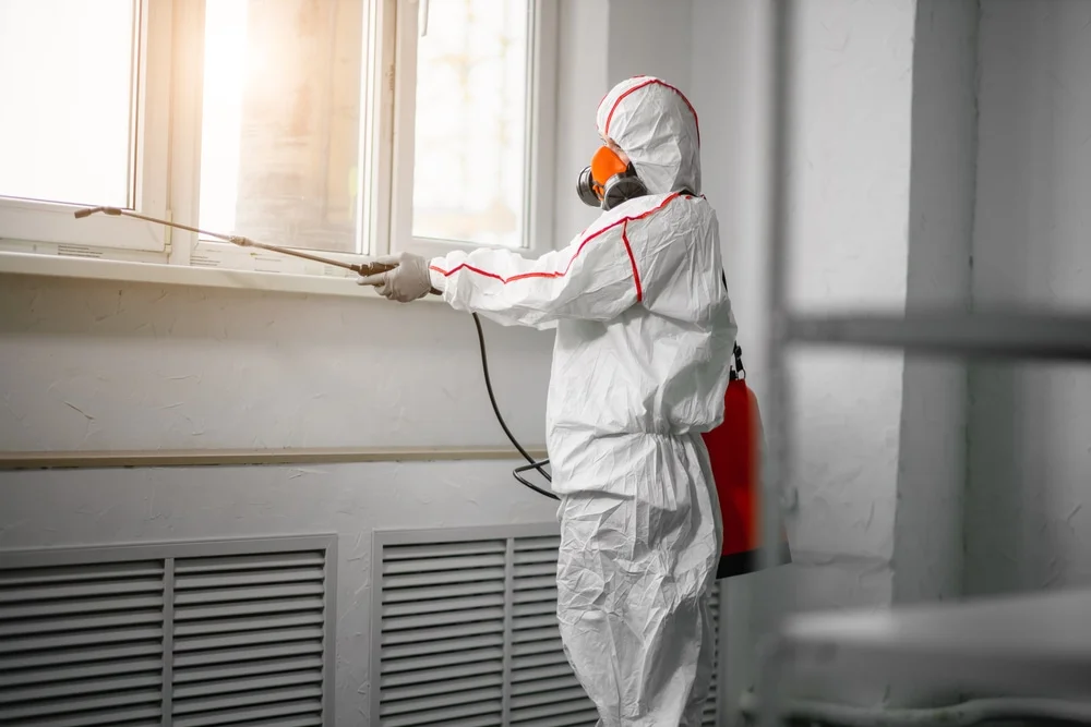 Professional mold remediation services in Philomath, OR